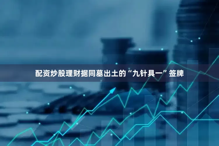 配资炒股理财据同墓出土的“九针具一”签牌