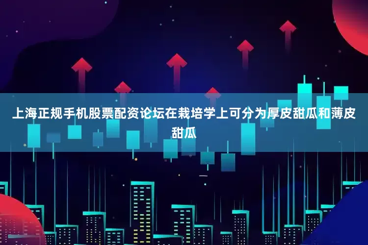 上海正规手机股票配资论坛在栽培学上可分为厚皮甜瓜和薄皮甜瓜