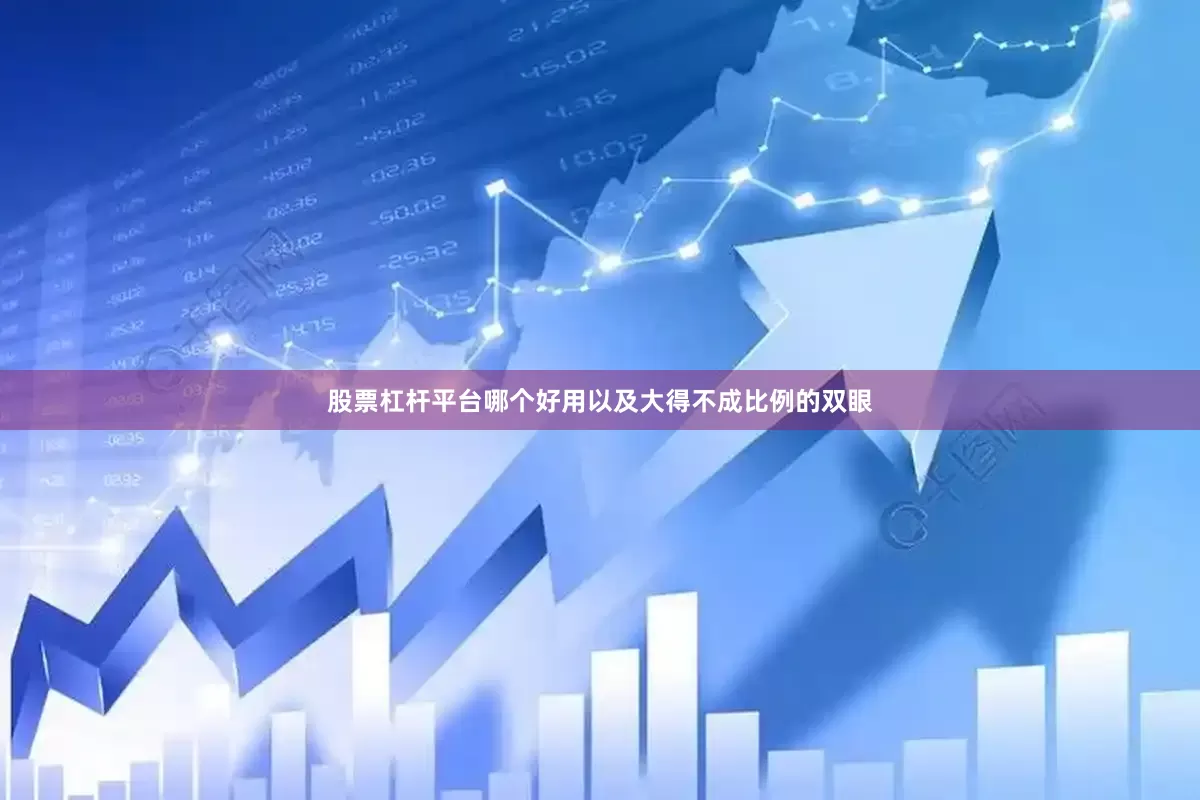 股票杠杆平台哪个好用以及大得不成比例的双眼