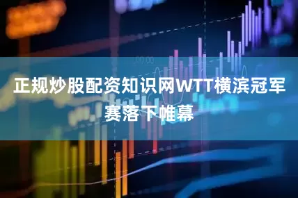 正规炒股配资知识网WTT横滨冠军赛落下帷幕